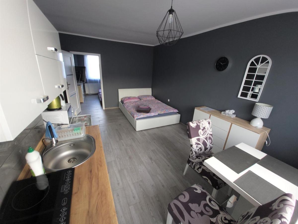 Julia Kwiatowa Apartment Leba